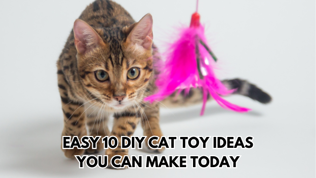 DIY-Cat-Toys